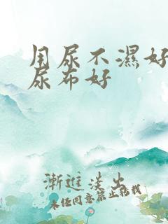 用尿不湿好还是尿布好