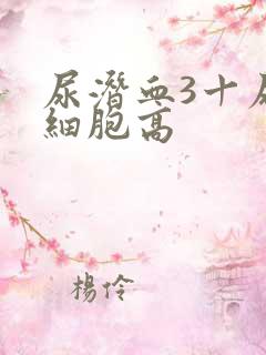 尿潜血3十尿红细胞高