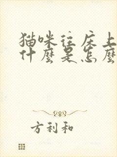 猫咪往床上尿是什么是怎么回事