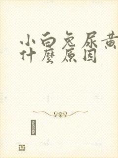 小白兔尿黄尿是什么原因