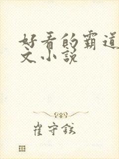 好看的霸道总裁文小说