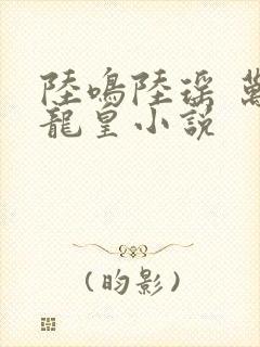 陆鸣陆瑶 万道龙皇小说