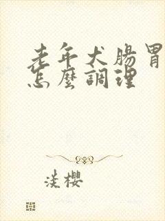 老年犬肠胃不好怎么调理