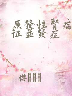 原发性肾病综合征并发症