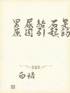 男尿结石是什么原因引起的啊