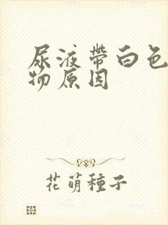 尿液带白色浑浊物原因