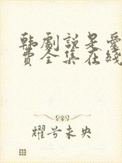 韩剧说是爱情免费全集在线观看