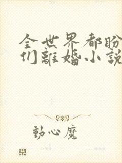 全世界都盼着我们离婚小说免费阅读