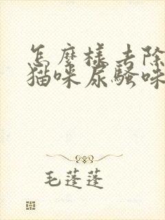 怎么样去除屋里猫咪尿骚味