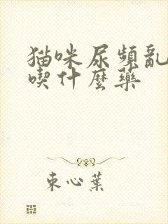 猫咪尿频乱尿,吃什么药