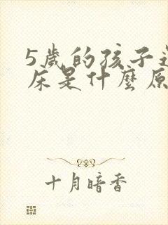 5岁的孩子还尿床是什么原因