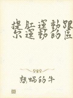 提肛运动跟凯格尔运动的区别