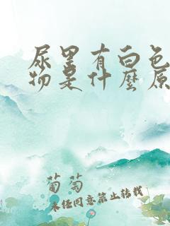 尿里有白色絮状物是什么原因?