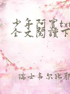 少年阿宾txt全文阅读下载