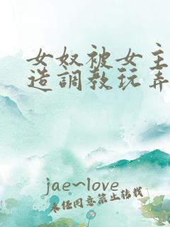 女奴被女主人改造调教玩弄小说