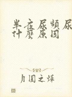 半夜尿频尿多是什么原因