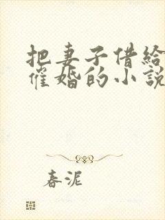 把妻子借给兄弟催婚的小说二十三