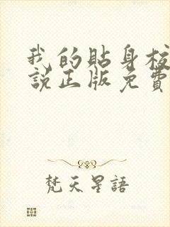 我的贴身校花小说正版免费