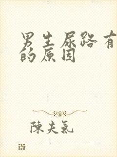 男生尿路有感染的原因