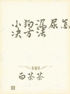 小狗漏尿怎么解决方法