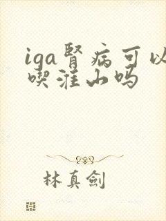 iga肾病可以吃淮山吗