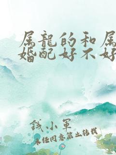 属龙的和属马的婚配好不好