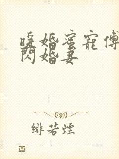 暖婚蜜宠傅少的闪婚妻