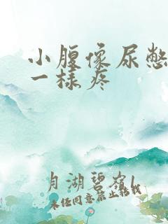 小腹像尿憋久了一样疼