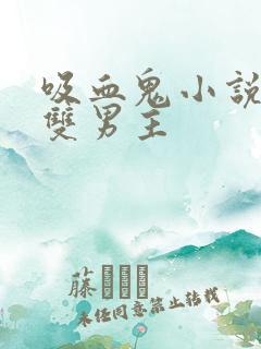 吸血鬼小说推荐双男主