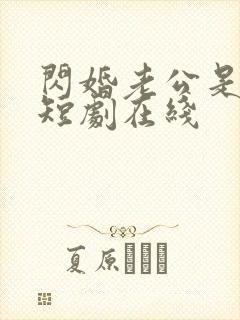 闪婚老公是豪门短剧在线