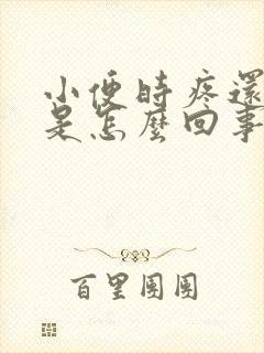 小便时疼还有血是怎么回事