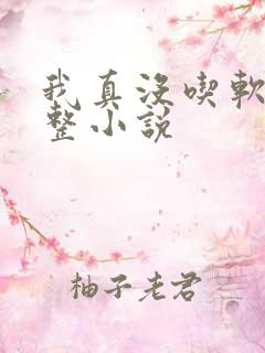 我真没吃软饭完整小说