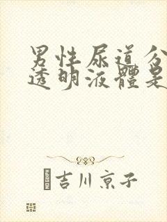 男性尿道分泌出透明液体是什么