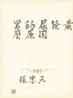 男的尿发黄是什么原因