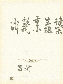小说重生后大佬叫我小祖宗
