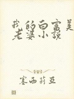 我的白富美总裁老婆小说