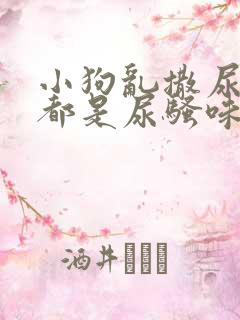 小狗乱撒尿房里都是尿骚味怎么办