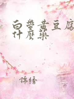 白带黄豆腐渣用什么药