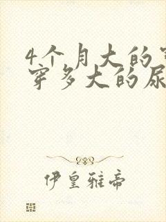 4个月大的宝宝穿多大的尿不湿