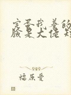 完蛋我养的小白脸是大佬 短剧