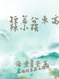 短篇公车高h肉辣小强