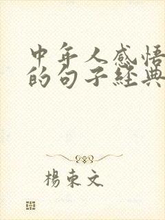 中年人感悟人生的句子经典