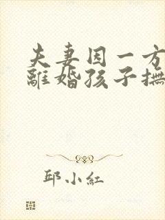 夫妻因一方出轨离婚孩子抚养权怎么判定