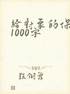 给对象的保证书1000字