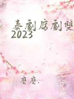泰剧腐剧双男主2023