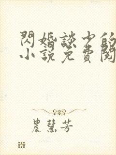 闪婚谈少的甜妻小说免费阅读正版