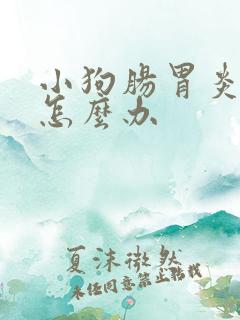 小狗肠胃炎拉血怎么办