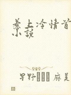 惹上冷情首席 小说