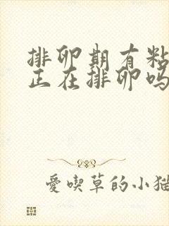 排卵期有粘液是正在排卵吗