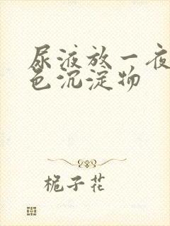 尿液放一夜有白色沉淀物